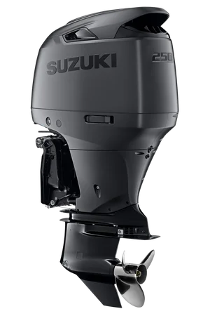 Suzuki <br/>*DF250AUNX*